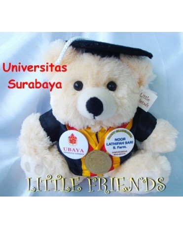 Boneka Wisuda Universitas Surabaya - Farmasi (25 cm)
